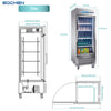 EQCHEN 27 Inch 1 Glass Door Commercial Refrigerator